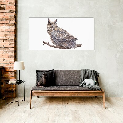 Owl on a branch Glass Wall Art