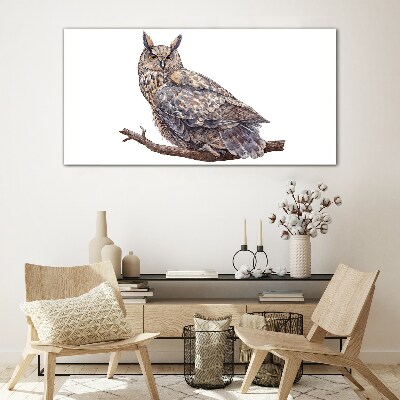 Owl on a branch Glass Wall Art
