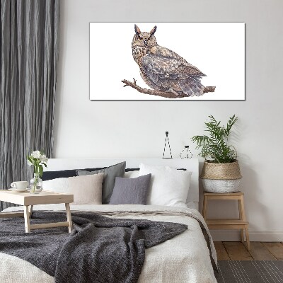 Owl on a branch Glass Wall Art