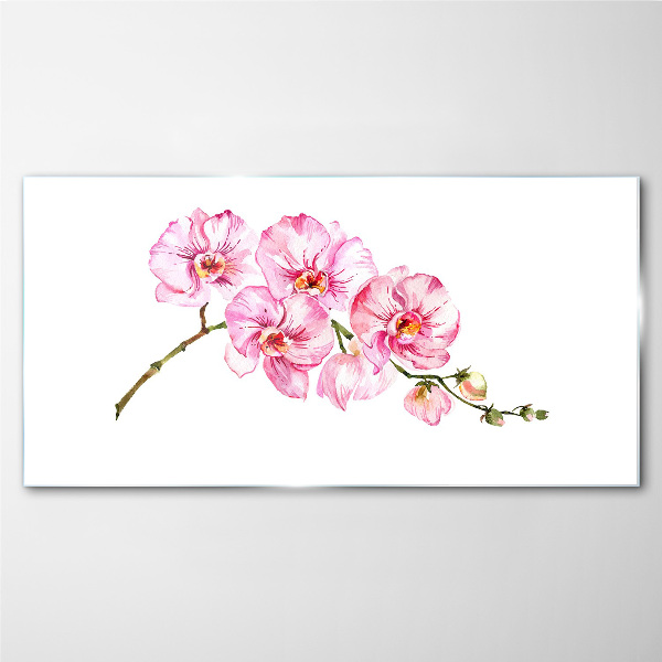 Pink orchids on a white background Glass Wall Art