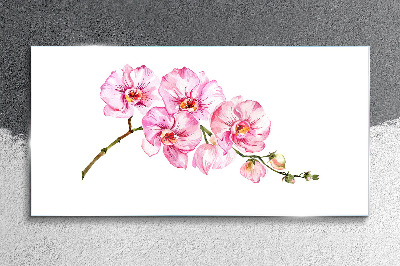Pink orchids on a white background Glass Wall Art