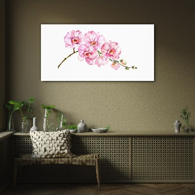 Pink orchids on a white background Glass Wall Art