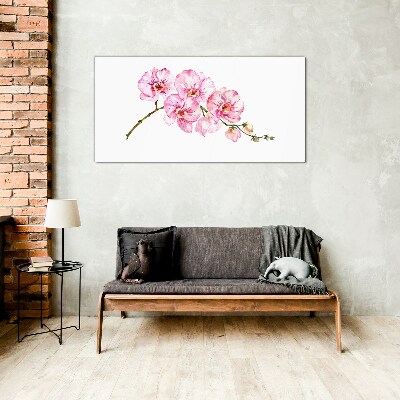 Pink orchids on a white background Glass Wall Art