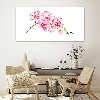 Pink orchids on a white background Glass Wall Art