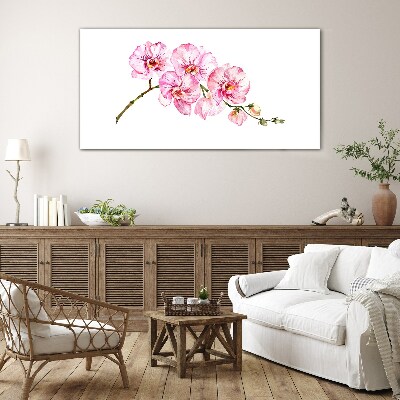 Pink orchids on a white background Glass Wall Art