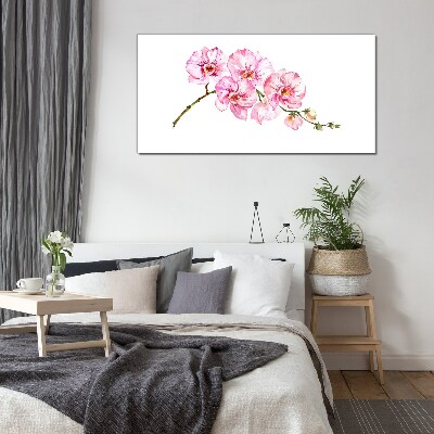 Pink orchids on a white background Glass Wall Art