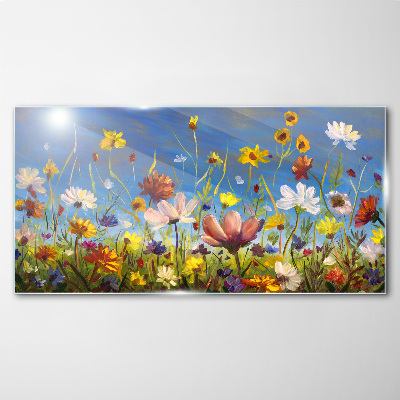 Print on Glass Wall art 100x50 Picture Image Mountains Meadow Flowers Landscape 