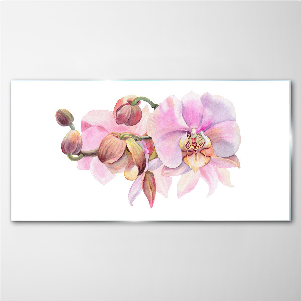 Orchid in pastel shades Glass Wall Art