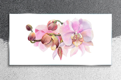 Orchid in pastel shades Glass Wall Art