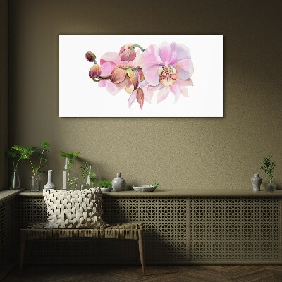 Orchid in pastel shades Glass Wall Art