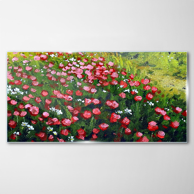 A meadow full of poppies Glass Wall Art