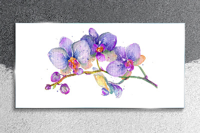 The floral beauty of orchids Glass Wall Art