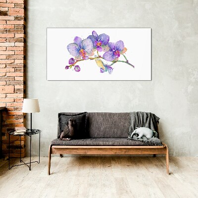 The floral beauty of orchids Glass Wall Art