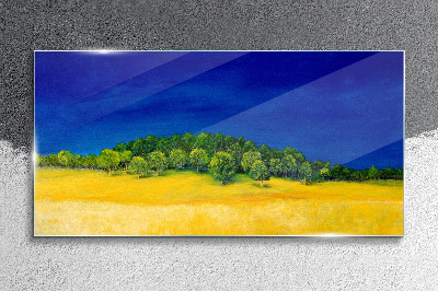 Golden fields under blue sky Glass Print