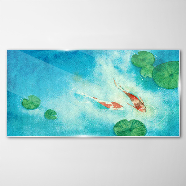 Koi in blue water Glass Print