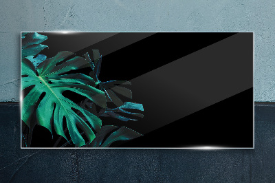 Green leaves on a black background Glass Print