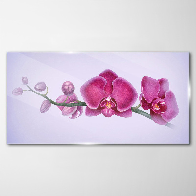 Orchids in delicate shades of pink Glass Print
