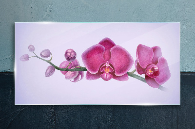 Orchids in delicate shades of pink Glass Print