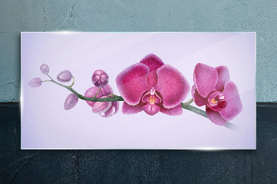 Watercolor orchid flower branch Glass Print