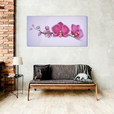 Orchids in delicate shades of pink Glass Print