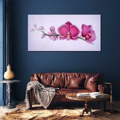 Orchids in delicate shades of pink Glass Print