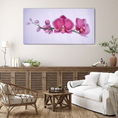 Orchids in delicate shades of pink Glass Print