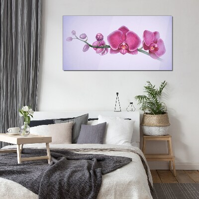 Orchids in delicate shades of pink Glass Print