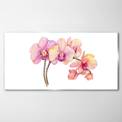 The floral beauty of orchids Glass Print