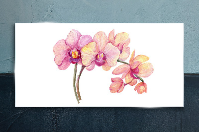 The floral beauty of orchids Glass Print