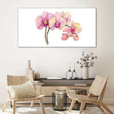 The floral beauty of orchids Glass Print