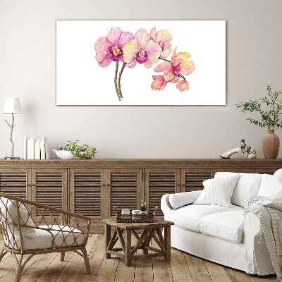 The floral beauty of orchids Glass Print