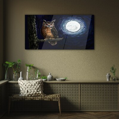Tree branch night owl moon Glass Wall Art