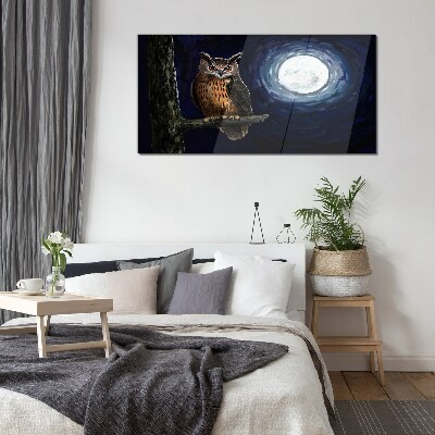 Owl in the moonlight Glass Wall Art