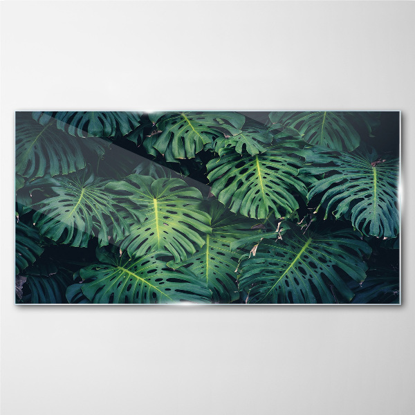 Tropical Green in Monstera Leaves Glass Print