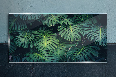 Tropical Green in Monstera Leaves Glass Print