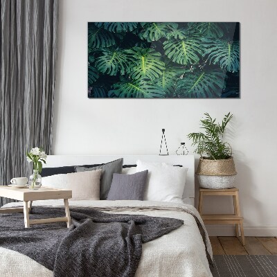 Tropical Green in Monstera Leaves Glass Print
