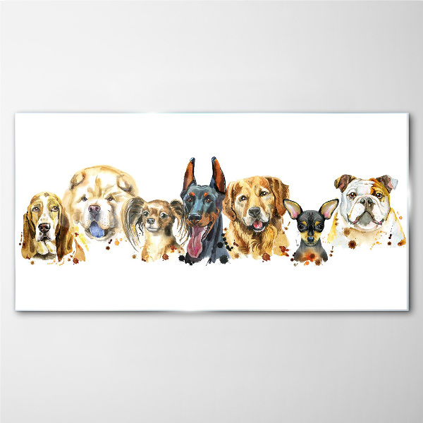Dog friendships in colors Glass Print