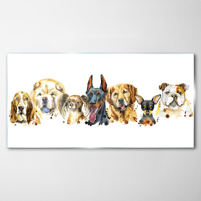 Dog friendships in colors Glass Print