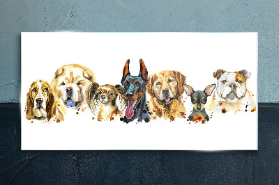 Dog friendships in colors Glass Print