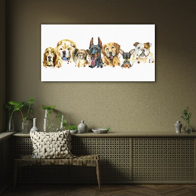 Dog friendships in colors Glass Print