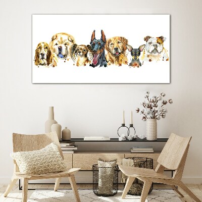 Dog friendships in colors Glass Print