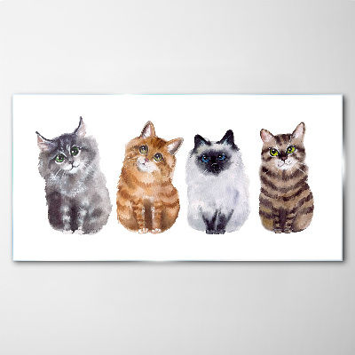 Cats in different shades Glass Print