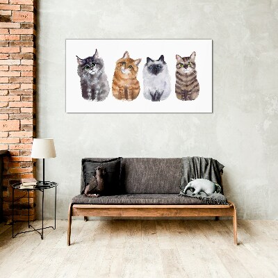 Cats in different shades Glass Print