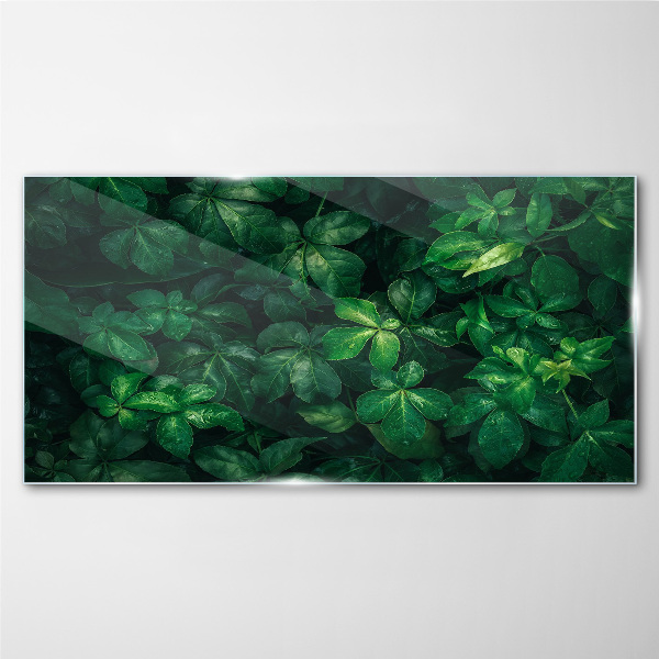Green thicket of leaves Glass Print