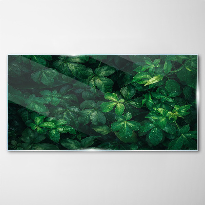 Green thicket of leaves Glass Print