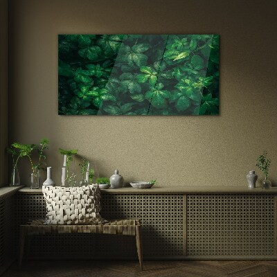 Floral leaf leaves Glass Print