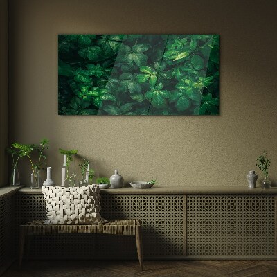 Green thicket of leaves Glass Print