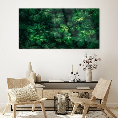 Green thicket of leaves Glass Print