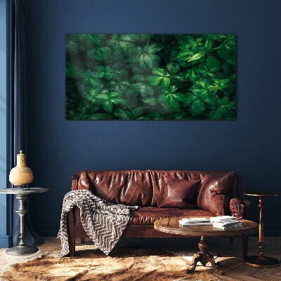 Green thicket of leaves Glass Print