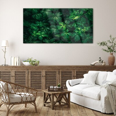 Green thicket of leaves Glass Print